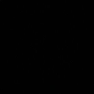 Meet your Posher, Muhandis